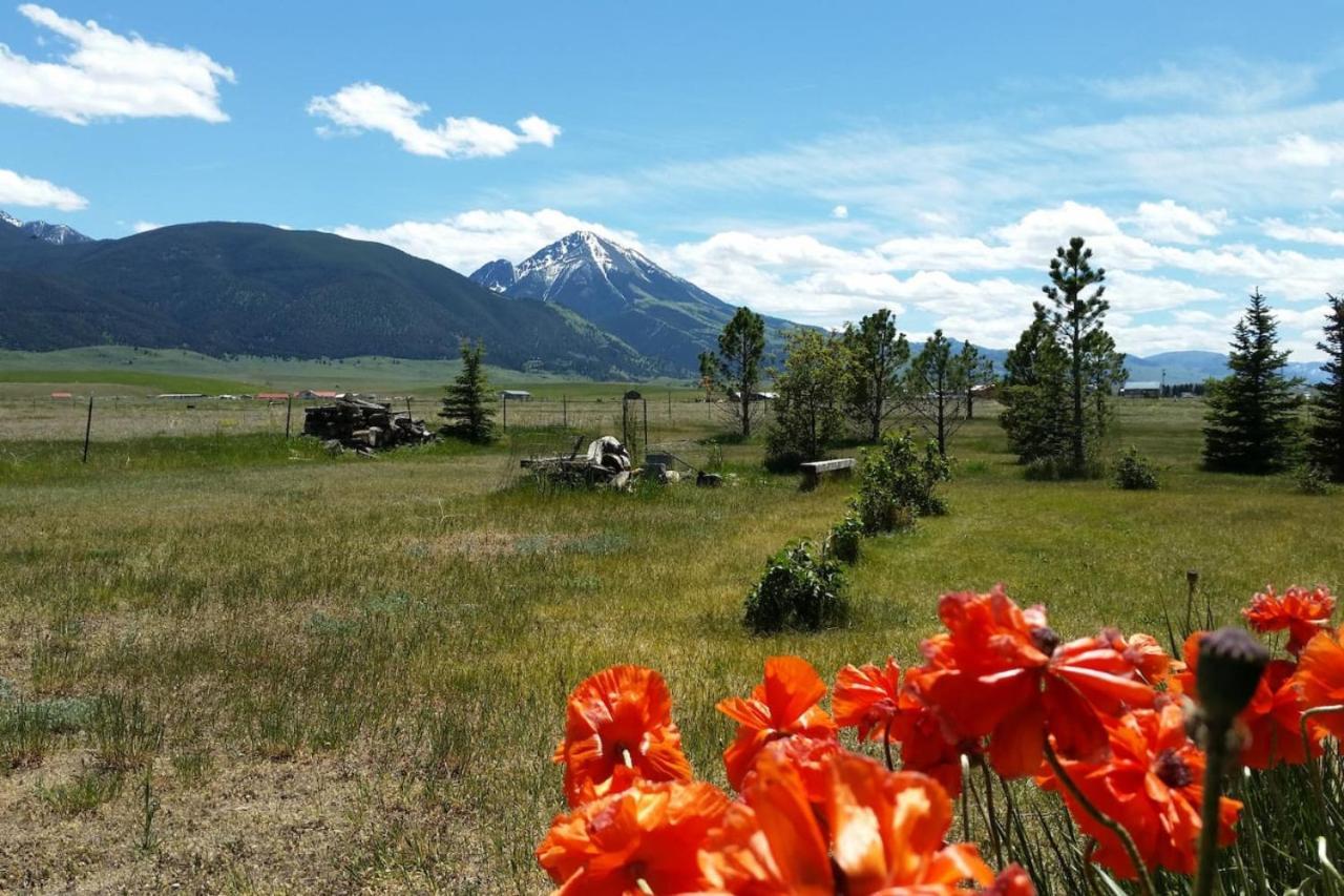 Apartment Chico Peak Nr Yellowstone,chico Hot Springs Pray